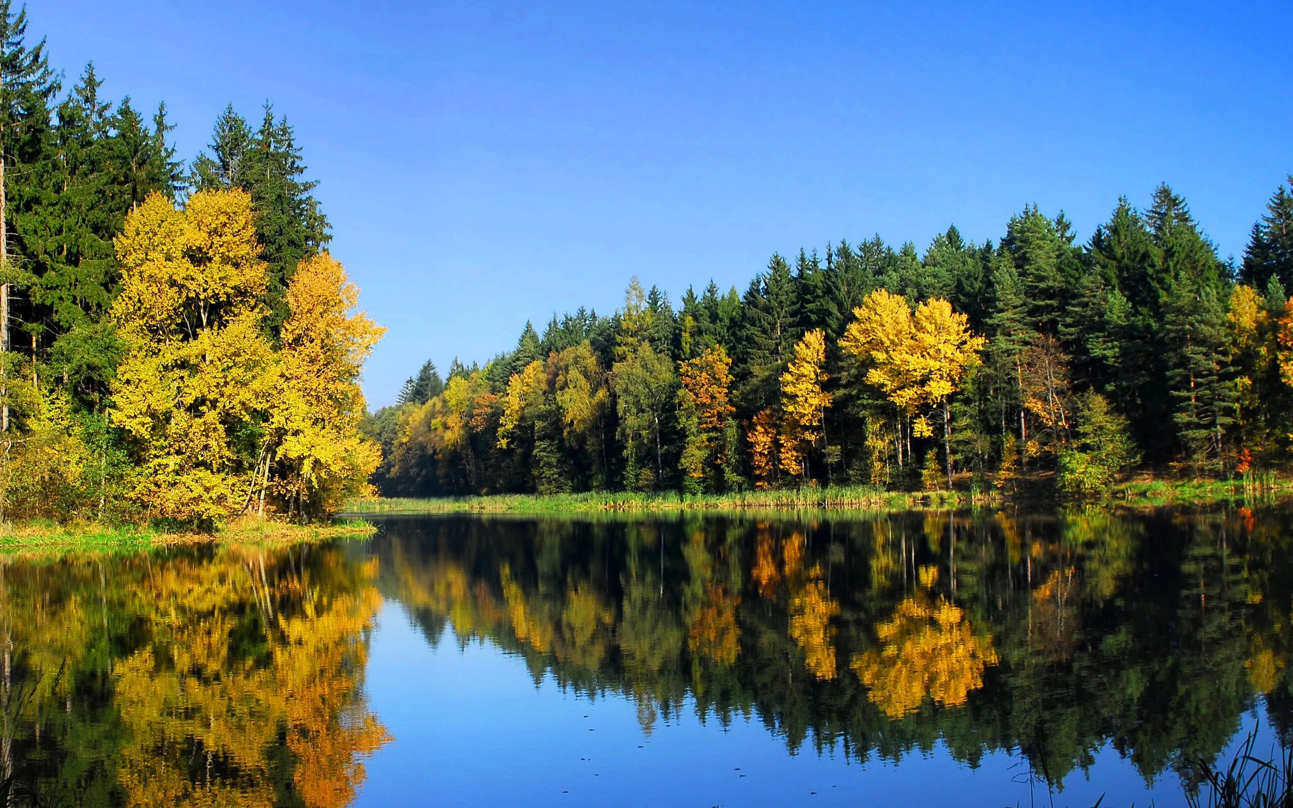 Диета белково-углеводного чередования. Углеводное чередование меню. Осенний пейзаж. Ранняя осень. Смешанный день.
