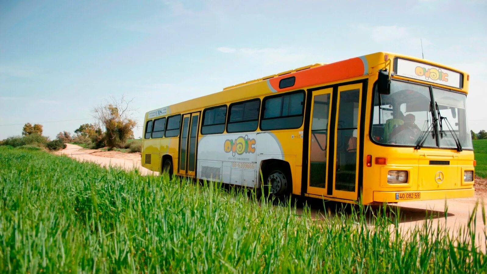 Желтый школьный автобус. Автобус. Автобус желтый. Жёлтый школьный автобус. Современный школьный автобус.