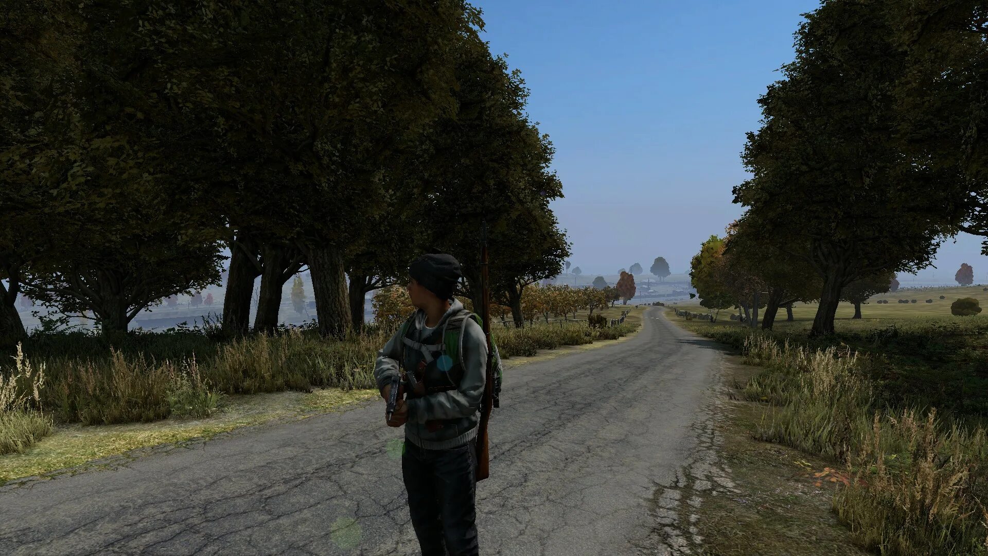 Dayz купить стим. DAYZ 0.59. Дайз 4к. 116 DAYZ. DAYZ Standalone 0.60.