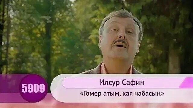 Сафин гомер