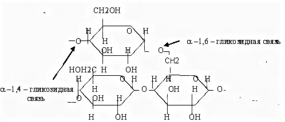 Связь 4 гликозидная. Альфа 1 6 гликозидная связь. Крахмал формула гликозидные связи. Крахмал формула 1-6 гликозидная связь. Альфа 1 4 гликозидная связь Глюкозы.