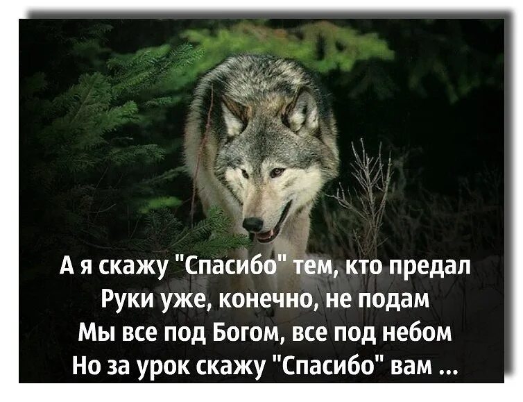 Спасибо тем кто меня предал. Спасибо тем кто. Спасиботеи кто предавал. А Я скажу спасибо тем кто предал руки уже конечно не подам.