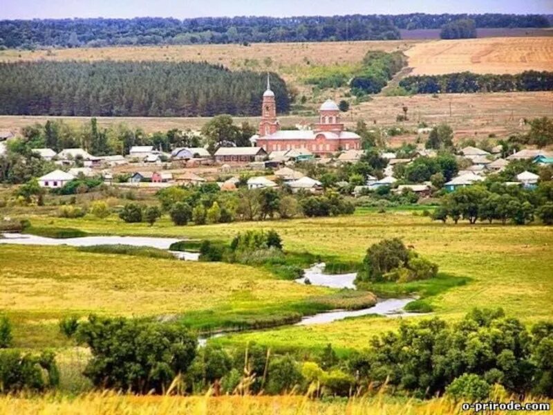 Села острогожского района. Село Солдатское Острогожского района Воронежской области. Село Солдатское Воронежской области. Солдатское Острогожский район Воронежская область. Природа в Солдатском Воронежской области.