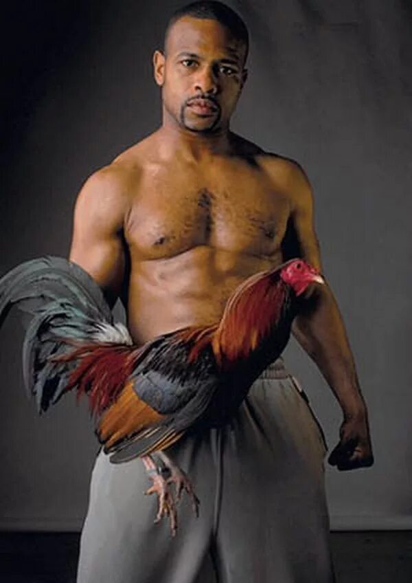 петух. петушиная прическа. парень петух. человек петух. мужики петухи.