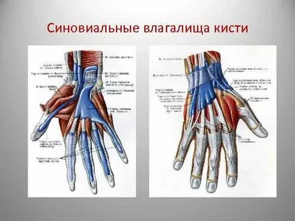 Б в кисти