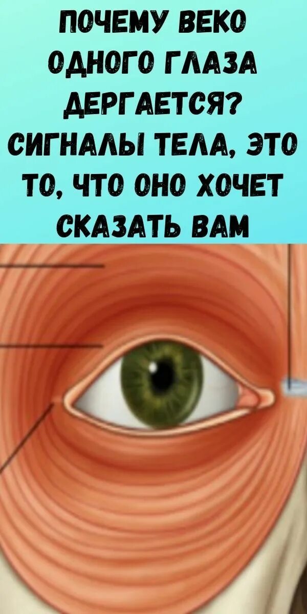 Причины почему дергается нижнее веко. Подергивание глаза причины. Дергается левое веко. Причины дёргания глаза. Почему дергается глаз.