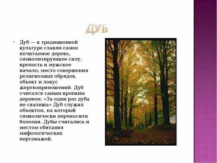 Что значит дуб