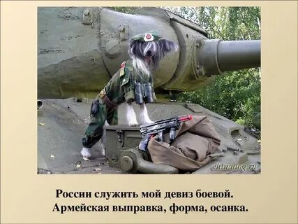Боевой девиз