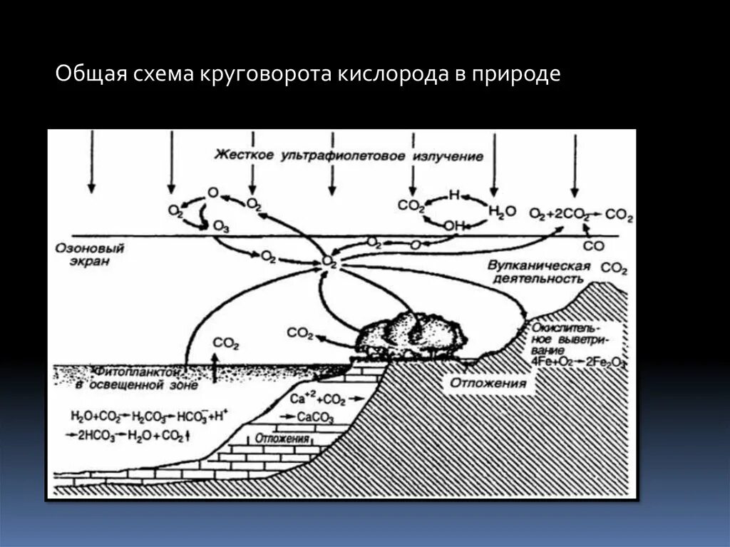 Круговорот кислорода процессы. Круговорот кислорода в природе схема. Схемакруговоротакислородавприроде. Круговорот кислорода в природе. Круговорот тяжелых металлов в биосфере.