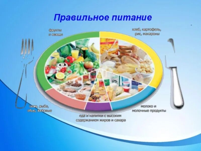 5 2 питание