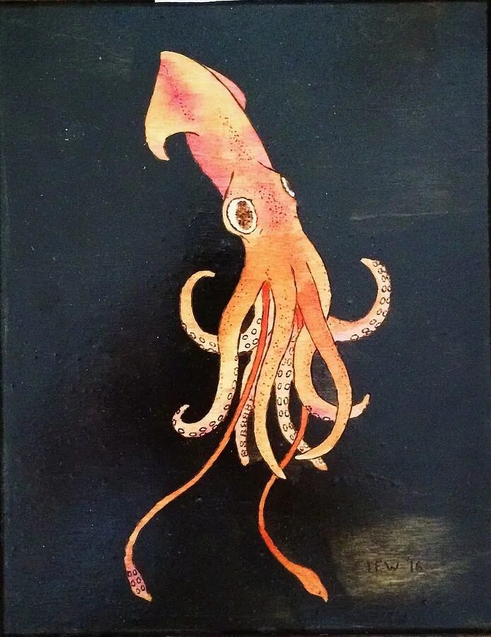 Кальмар. Древние кальмары. Кальмар арт. Арты кальмара. Игра в кальмара squid