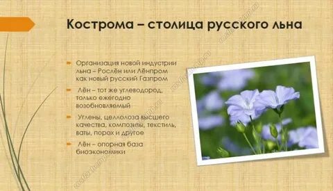 Кострома лен отзывы
