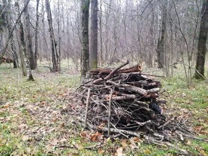 Опытное сегодня