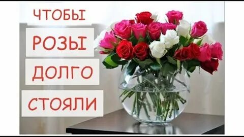 Как дольше сохранить розы в букете