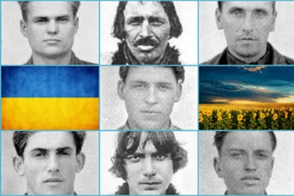 Славянский Тип лица. Тип лица украинцев. Украинцы внешность. Славянский Тип внешности. Черты украинцев