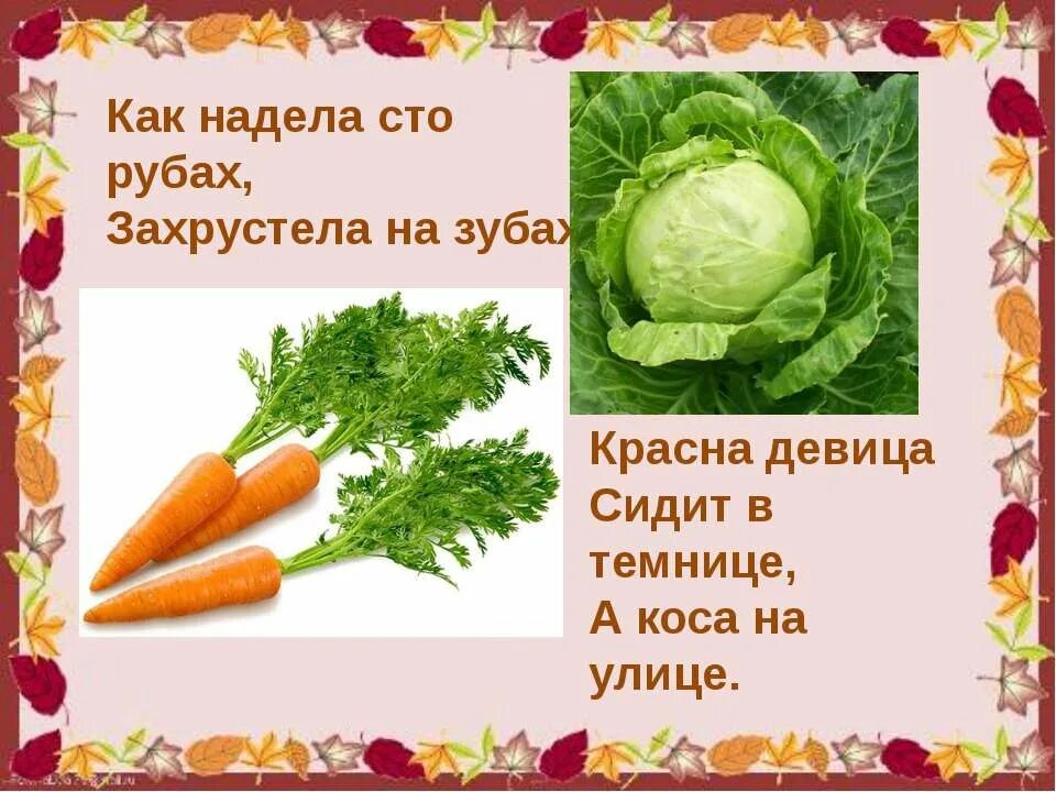 Красна девица в темнице. Сидит девица в темнице а коса. красная девица сидит в темнице. загадка красна девица сидит в темнице а коса. загадка сидит девица в темнице а коса на улице.
