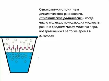 Что такое динамическое равновесие в физике
