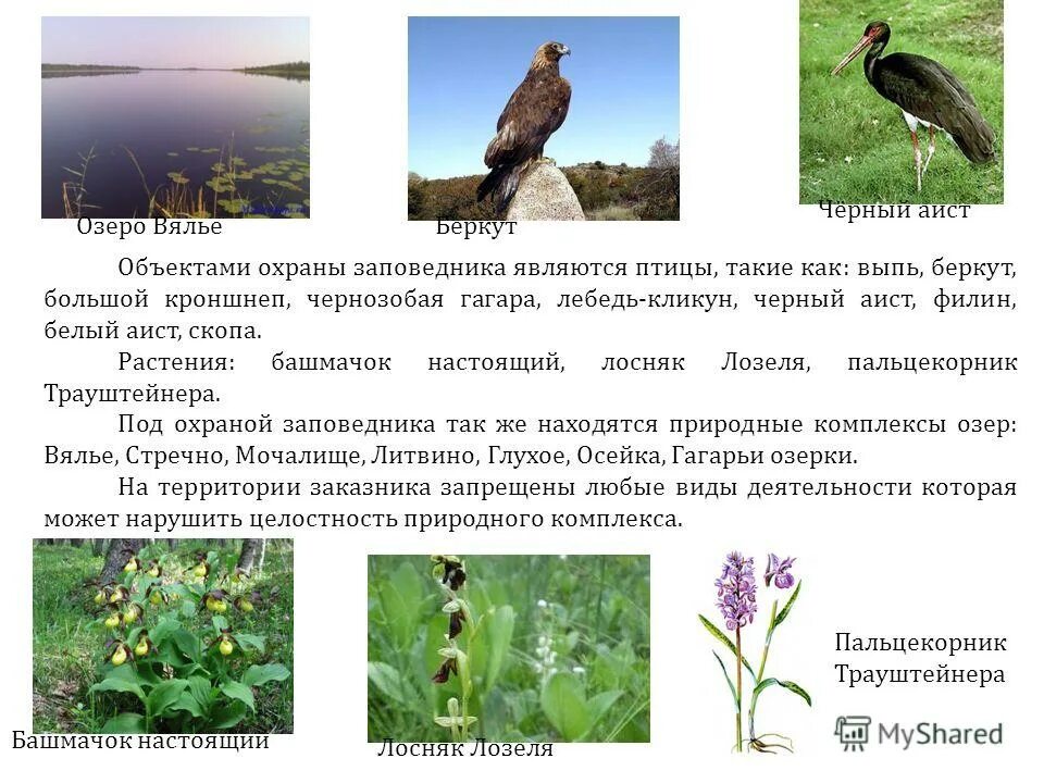 заповедник основные объекты охраны. кандалакшский заповедник на карте. заповедники презентация. командорский заповедник основные объекты охраны. командорский заповедник презентация.