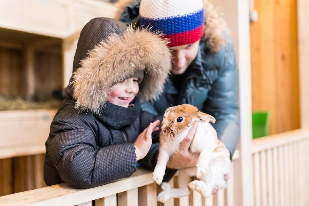 Вднх ферма животных. Городская ферма на вднх зима. городская ферма на вднх зимой. зооферма вднх. детская ферма на вднх.