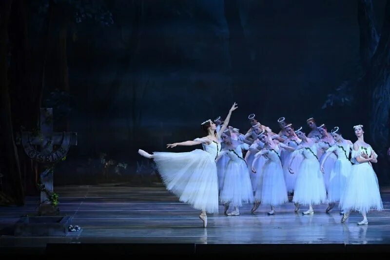 большой театр беларуси балет. корсар балет большой театр. прима-балерина алессандра ферри. балет свадебка. белорусский балет.