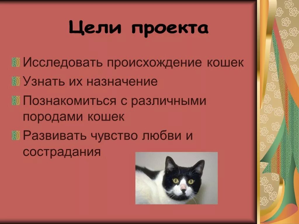 Цель про животных. Проект на тему кошки. Цель проекта о кошках. Презентация про кошек. Проект кошки презентация.