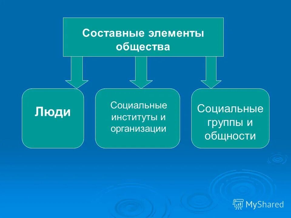 Составными элементами общества являются