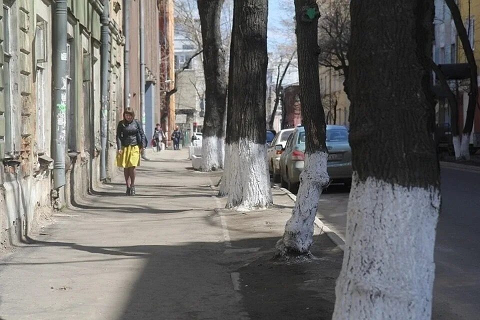 Погода иркутск апрель. Апрель в иркутске. тополь иркутск. иркутск в апреле фото. апрель прошлого года иркутск.