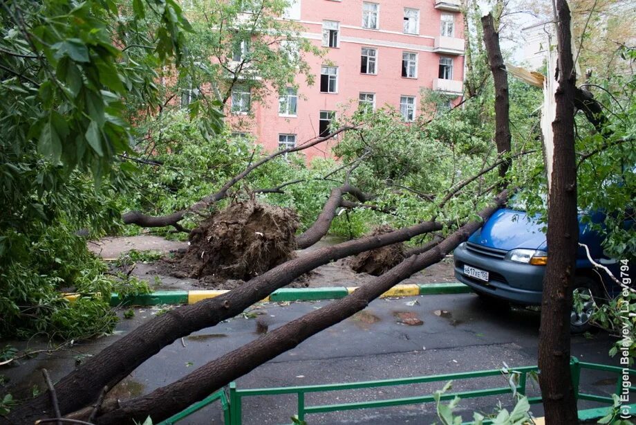 Ураган в Москве 1998. Ураган в Москве 2001. Ураган в Москве 1997. Ураган в Подмосковье 1998.