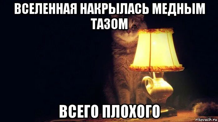 Накроется медным тазом откуда выражение. Лампа кот. выходные накрылись медным тазом. мем накрылся медным тазом. кот с лампой мем.