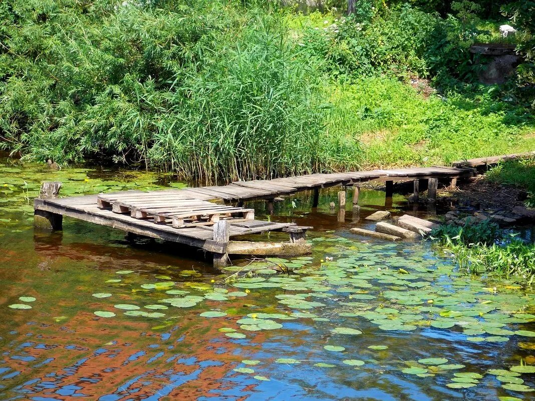 прудик речка мостик. мостик для купания на речке. мостик у реки. пруд с мостиком. лиски мостик озеро.