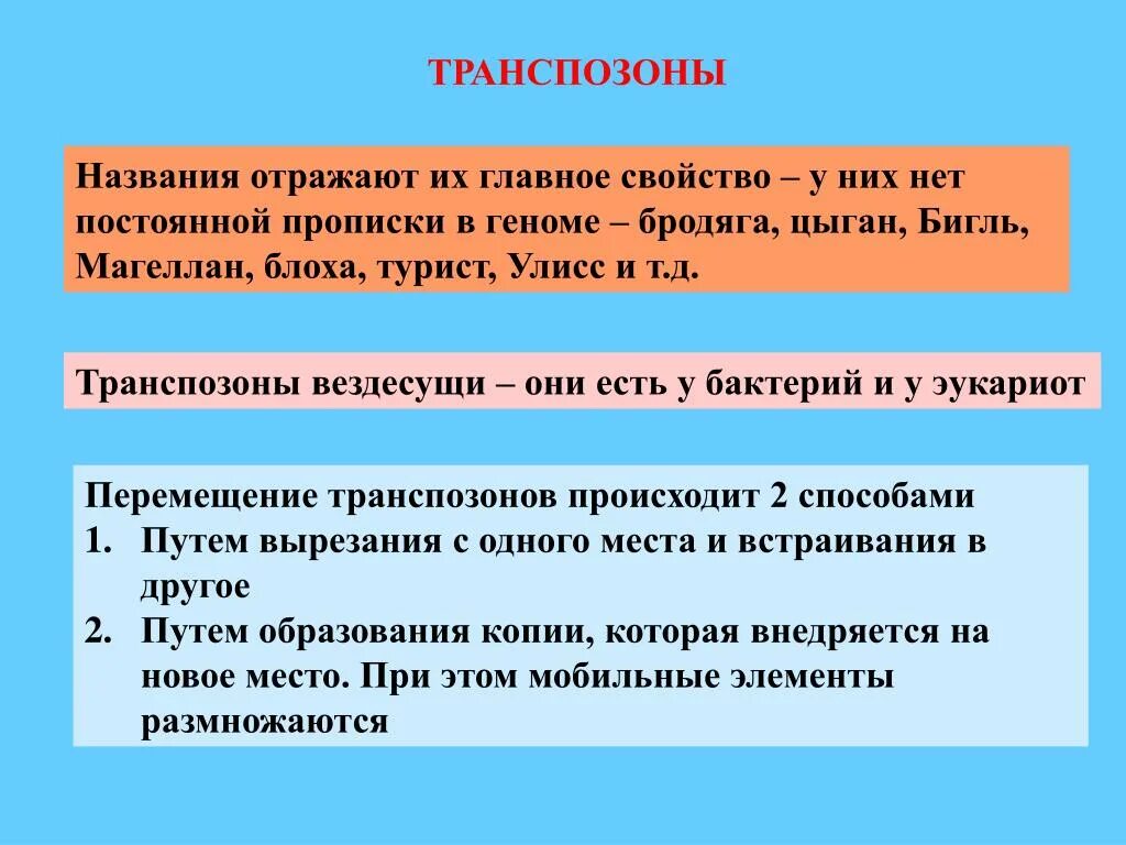 Фрагмент ис это. Транспозоны. Строение ДНК транспозона. Транспозоны бактерий. Строение транспозона.