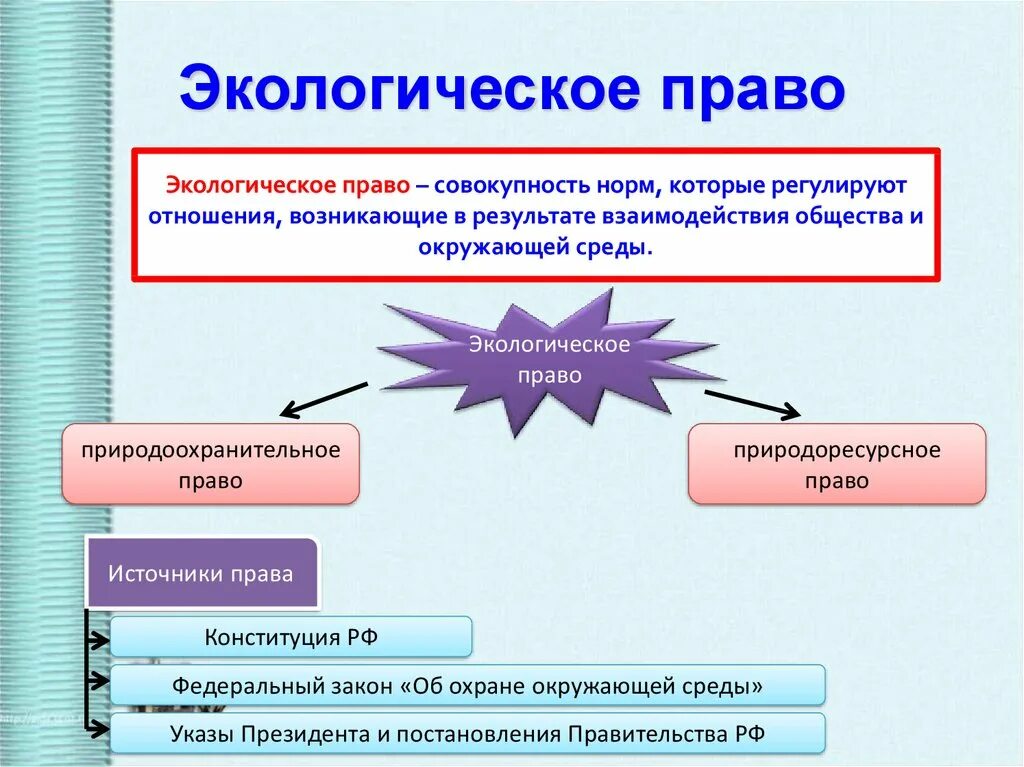 Экологическое право. Экологическое право Обществознание. Презентация экологическое право 10 класс обществознание боголюбов