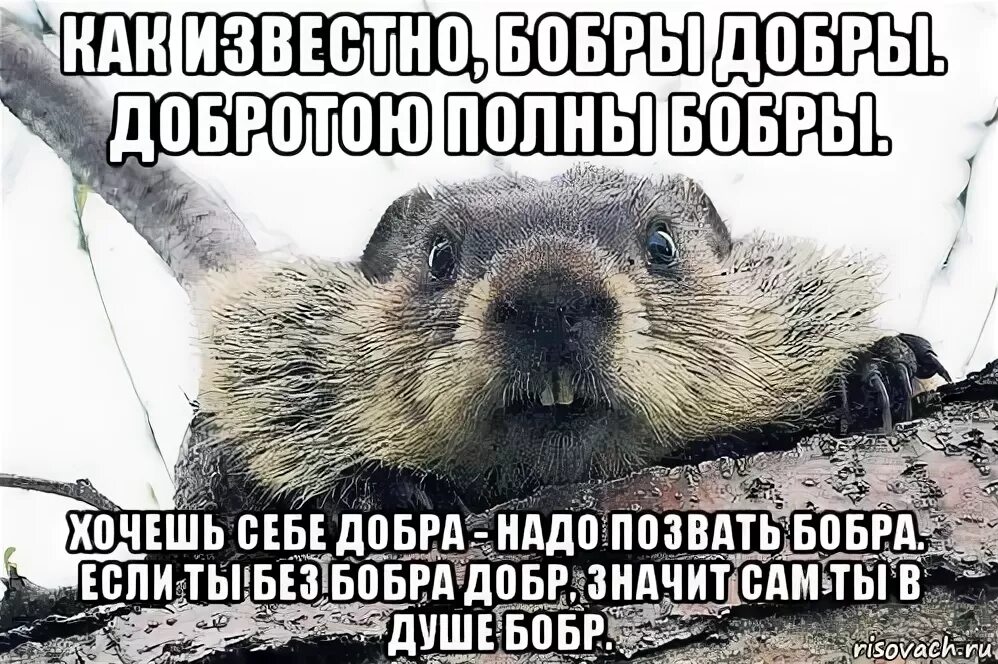 Позвать значение