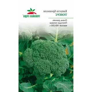 Капуста брокколи тонус отзывы фото