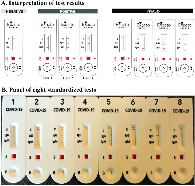 The results of the tests are. Covid self testing result. covid self testing positive. covit self test how. standardized test results перевод.