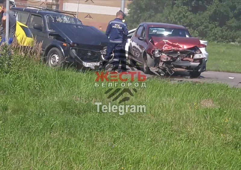 Чп 31. Рашметка на снегозоде трассе. Чп 31. Чрезвычайное происшествие в москве сейчас. Чп 31.