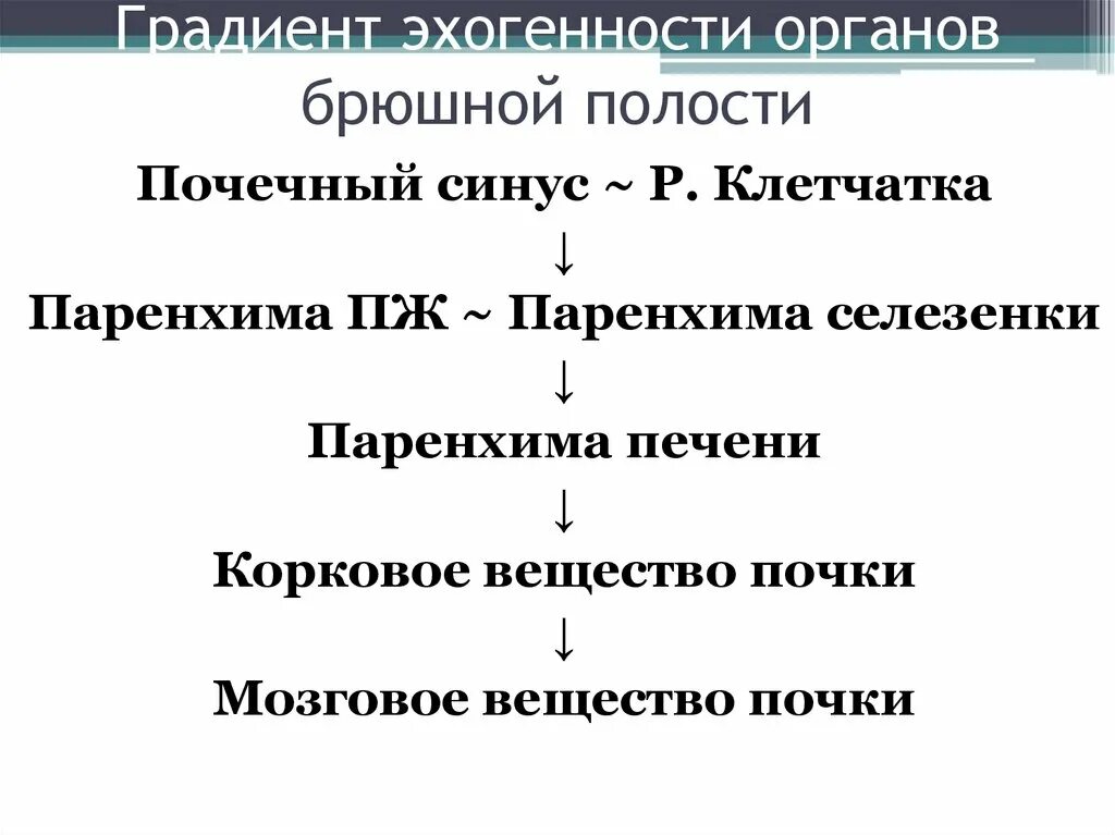 Эхогенность селезенки. Градиент эхогенности органов брюшной полости. Эхогенность органов. Эхогенность почек. Эхогенность селезенки человек.