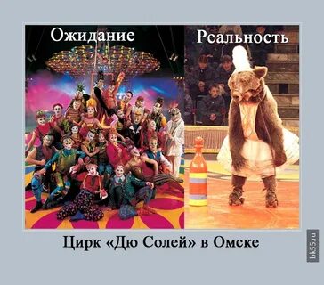 Цирк реальность