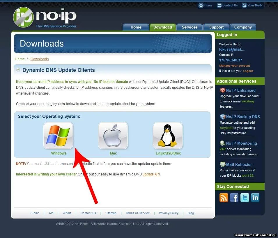 логи сервисов. Noip.