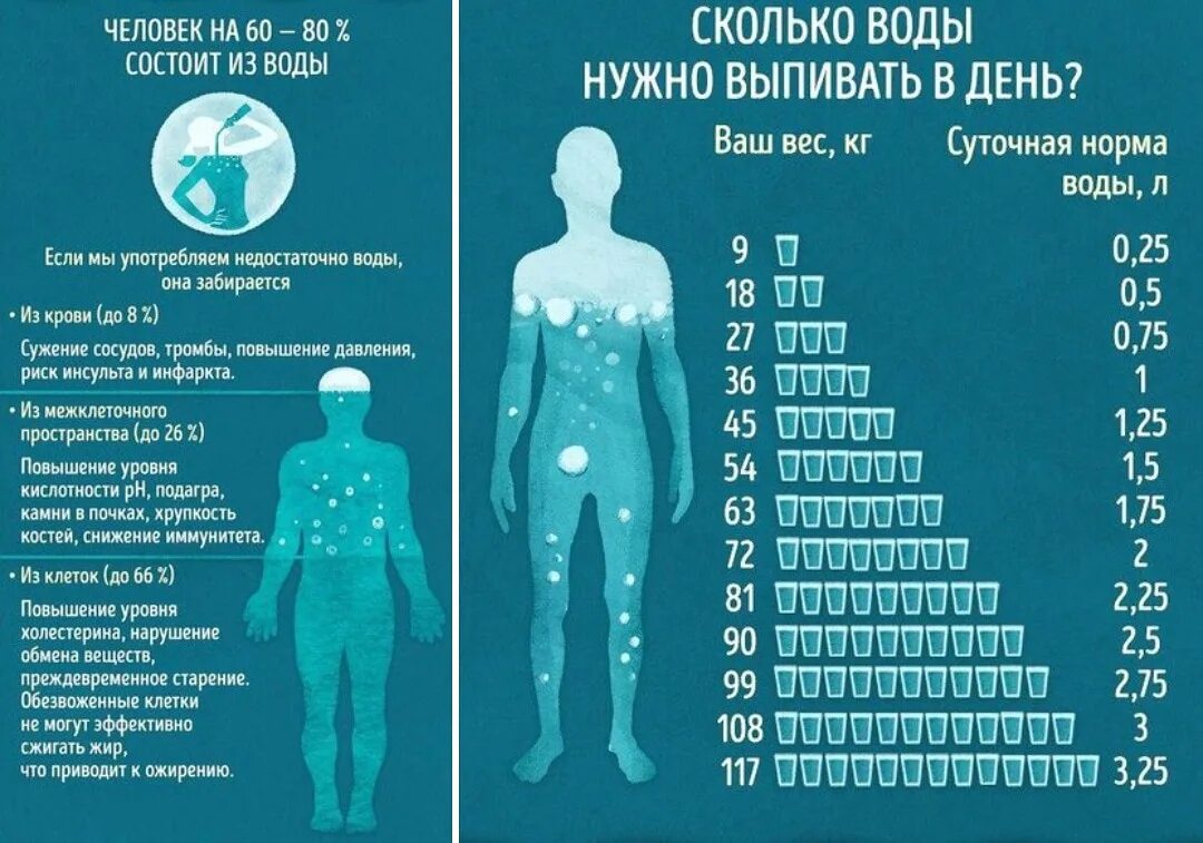 Сколько литров во взрослом человеке. Сколько воды в день должен выпивать человек. Сколько нужно пить воды в день. Сколько должен выпивать воды человек за сутки. Человеку в сутки требуется воды.