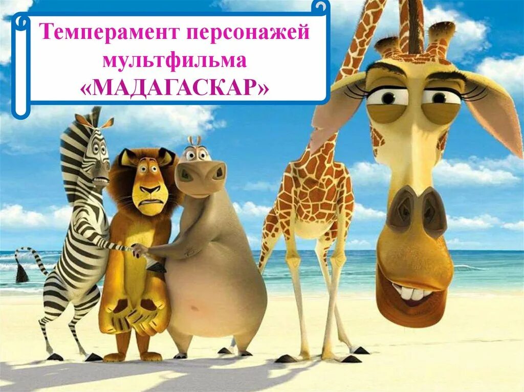 Темперамент персонажей мультфильмов. Темперамент персонажей мультфильма мадагаскар. типы темперамента мадагаскар.