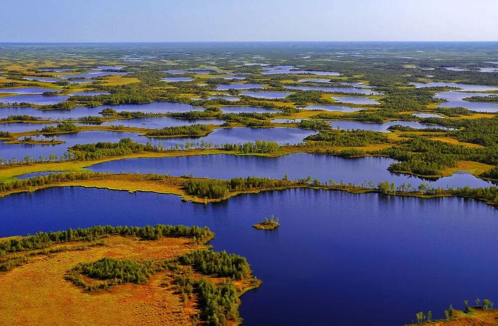 Крупные озера западной сибири. Западно Сибирская равнина Васюганское болото. Васюганские болота Томская область. Васюганское болото заповедник. Болото Васюганское болото.