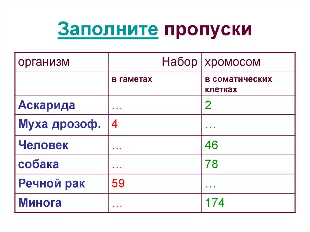 Наборы хромосом у различных организмов. Наборы хромосом у различных организмов таблица. Количество хромосом у разных видов организмов. Хромосомы различных организмов таблица.