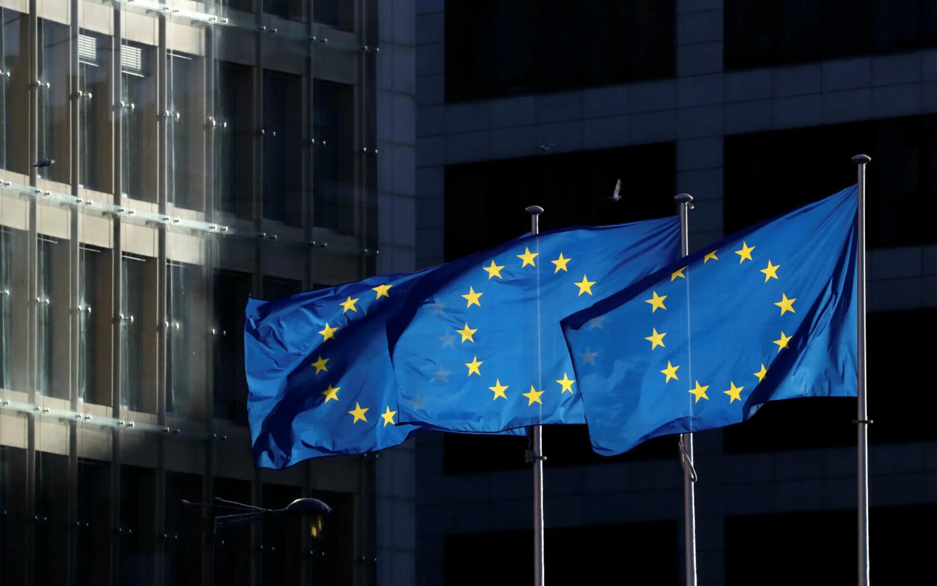 Евросоюз какое государство. Европейский Союз (Евросоюз, ЕС). Европейский Союз 1958. Флаг совета Европы. Флаг европейского Союза.