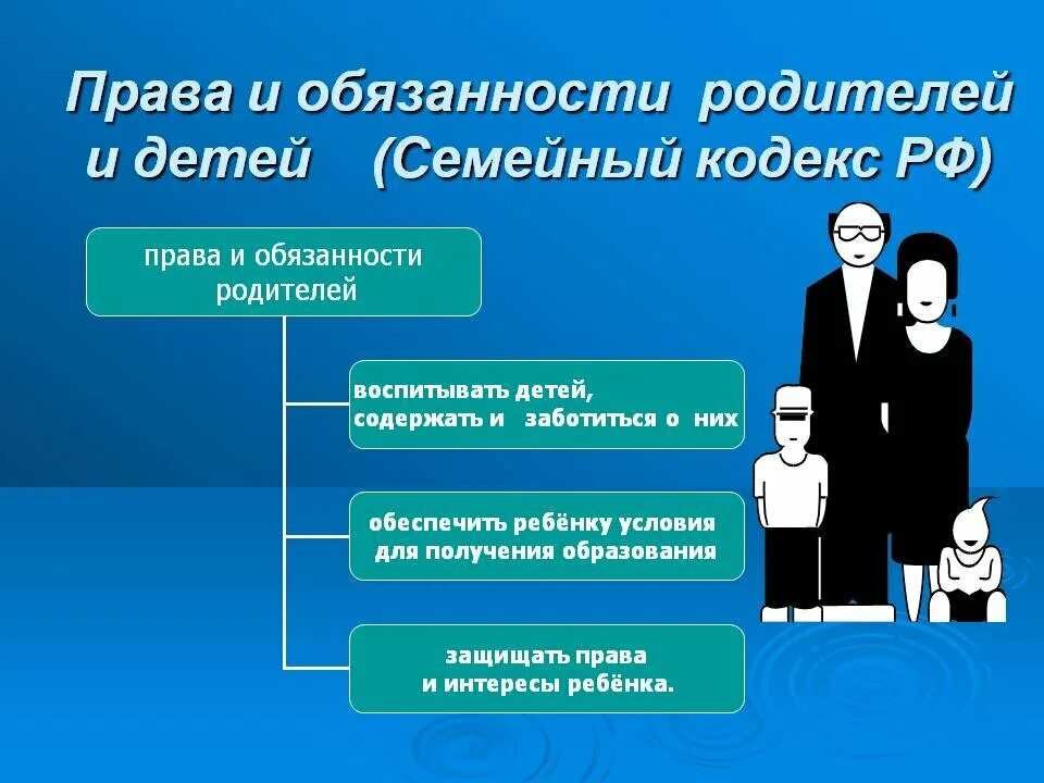 Обязанности родителей. Обязаны ли родители обеспечивать