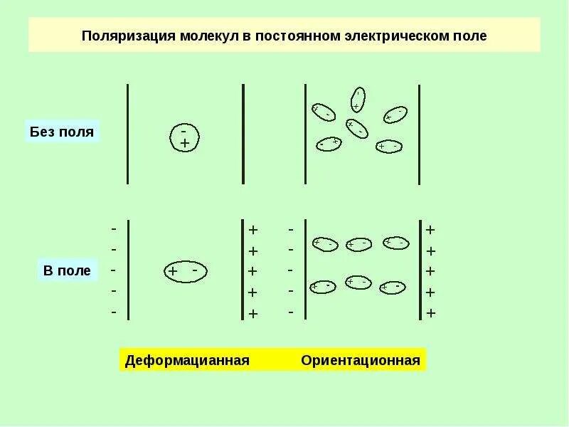 Поляризация молекул диэлектрика в электростатическом поле. Поляризация молекул. Поляризуемость молекулы. Поляризация молекул в постоянном электрическом поле. Поляризованный атом.