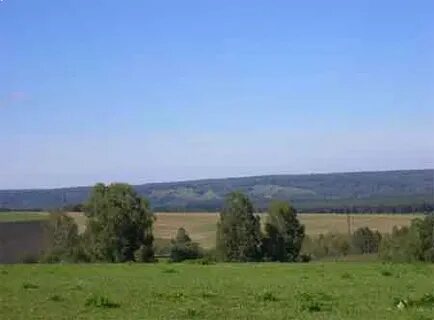 Погода в сары чумыше