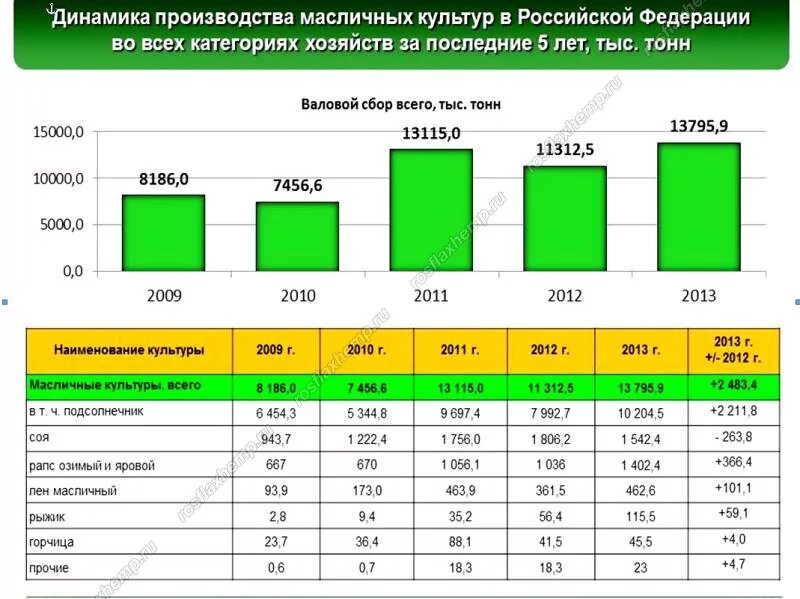 Масличные культуры страны Лидеры по производству. Масличные культуры Лидеры. Производство масличных культур. Динамика производства масличных культур в Российской Федерации. Валовый сбор масличных