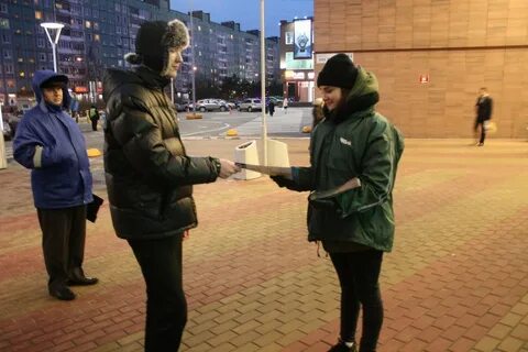 Раздача хамелеон