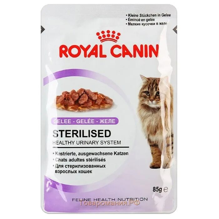 Корм для кошек Royal Canin Sterilised. Корм влажный для кошек Royal Canin Sterilised 85г желе. Роял Канин паучи для кошек желе. Роял Канин пауч Стерилайзд. Желе для стерилизованных кошек